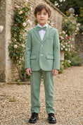 Bild in Galerie-Betrachter laden, Boys Sage Green Check 2-Piece Suit
