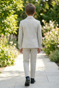 Cargar la imagen en la vista de la galería, Beige Polka Dot Cotton-Linen Blend 2-Piece Suit
