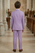 Bild in Galerie-Betrachter laden, Boys Lavender Double-Breasted Suit 2-piece Suit
