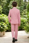 Load image into Gallery viewer, Pink Striped Double-Breasted 2-Piece Suit
