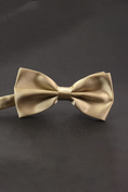 Load image into Gallery viewer, Satin Double Layer Simple and Exquisite Boys' Bow Tie
