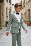 Load image into Gallery viewer, Light Green and White Serif Single-Breasted 2-Piece Suit
