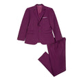 Load image into Gallery viewer, Purple Two Button Wedding 3 Pieces Slim Fit Men Suits
