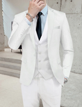 Cargar la imagen en la vista de la galería, Men's Wedding Suits Business Formal Work Wear Suits 3 Piece Suits
