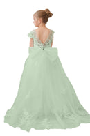 Flower Girl Dresses Applique Tulle Pageant Princess Gown FLC00422