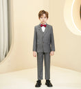 Load image into Gallery viewer, Grey Plaid Elegant 5 Piece Boys Suits
