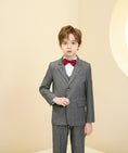 Charger l'image dans la visionneuse de la galerie, Grey Plaid Elegant 5 Piece Boys Suits
