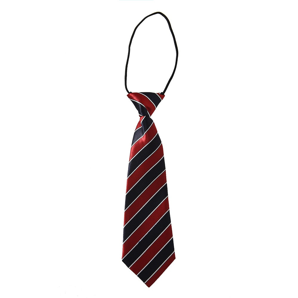 School Ties for Boys/Kids, Pre-tied Adjustable Neckties Boys Tie for Graduation Uniforms Party Casual