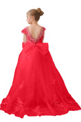 Load image into Gallery viewer, Flower Girl Dresses Applique Tulle Pageant Princess Gown FLC00422
